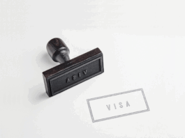 Work visa for IT engineers in Japan