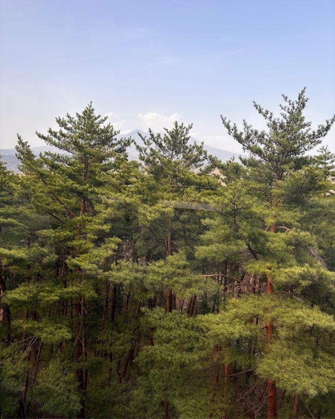 Nature in Hakushu
