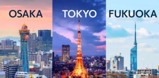 Understanding the Cost of Living in Japan