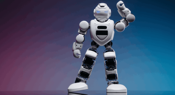 the World Robot Summit