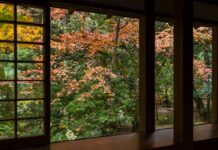 A Data-Driven and Sensory Guide to Japan’s Autumn Japan's Autumn