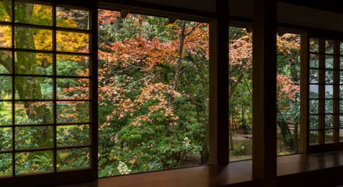 Japan's Autumn1 Japan's Autumn