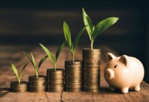 Smart Living in Japan: How to Save Big on Groceries, Travel, and Daily Goods (Daiso & Surplus Food EC, etc)